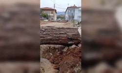 Aydın'da 'tapulu arazi' tartışması: Mahalle yolunu tomruklarla kapattı