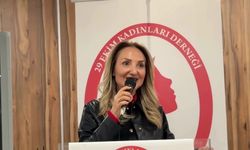 Aylin Nazlıaka: 1935'te dünya ikincisiydik parlamentoda kadın temsil oranı açısından, şimdi 129. sıradayız