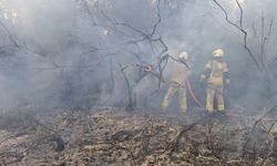 Beykoz'da 15.50'de çıkan, 18.30 gibi kontrol altına alındığı açıklanan yangın yeniden alevlendi