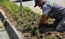 Beylikdüzü Belediyesi, ilçeyi yaza hazırlıyor