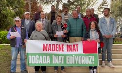 Bilecik Çevre Platformu'dan, tutuklanan Esra Işık'a destek: 'Gerekirse bir Esra gider, bin Esra geliriz' 