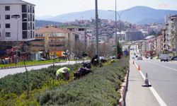 Bilecik genelinde kentsel iyileştirme çalışmaları sürüyor