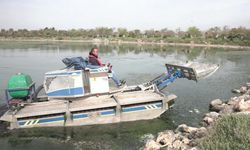Bilim insanları, temiz Körfez için Gediz'e işaret etti
