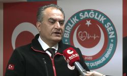 Birlik Sağlık-Sen Genel Başkanı Ahmet Doğruyol: Özelleştirme listesindeki bazı hastanelerde hizmet sürüyor