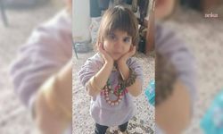 Bitlis'te kayıp 4 yaşındaki Rabia için ekipler seferber oldu