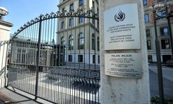 BM uzmanlarından Türkiye'ye, 'insan hakları savunucuları ve avukatları kriminalize etmeyin' çağrısı