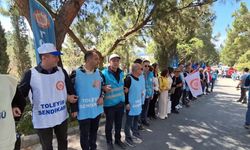 Bodrum'da turizm işçileri grevde: 'İş ekmek yoksa barış da yok'