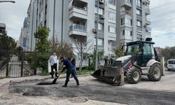 Bornova'da yol seferberliği: 90 günde 722 çukura müdahale edildi