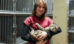 Buca'da 599 patili dost sıcak yuvaya kavuştu