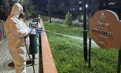 Çankaya'da sinek ve haşereye karşı gece mesaisi sürüyor