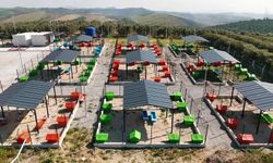 Ceyhan Belediyesi'nden sokak hayvanlarına doğal yaşam alanı