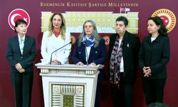 CHP Aile ve Sosyal Hizmetler Politika Kurulu, Aile ve Sosyal Hizmetler Bakanlığı'nın üç aylık 'karnesini' açıkladı