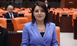 CHP Mersin Milletvekili Gülcan Kış: 'Eğitimde personele istihdamına kullanılacak kaynak faize ayrılıyor'
