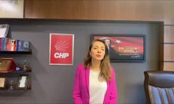 CHP'li Akkuş İlgezdi: 'TÜİK'in fıkra gibi verileri, halkın gerçeğine değil, iktidarın hayallerine hizmet etmektedir'