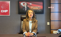 CHP'li Akkuş İlgezdi'den Bakan Memişoğlu'na: '1000 ASM yapma vaadi varken mevcut ASM'ler neden arazileriyle birlikte satılmak isteniyor?'