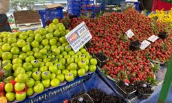 CHP'li Aşkın Genç: 'Vatandaş fileyi kredi kartıyla dolduruyor'