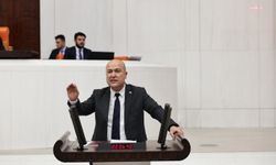 CHP'li Bakan: '2024 yılında Gülistan Doku ile ilgili verdiğim soru önergesindeki isimler bilgimiz ve rızamız dışında silinmiş'