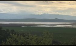 CHP'li Başevirgen'den 'Marmara Gölü' çağrısı: 'Bu göl tekrar yaşasın, başka bir derdimiz yok'