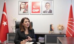 CHP'li Gökçe Gökçen: Ara seçim yapıp yapmamak iktidarın takdirinde değil, anayasal zorunluluktur