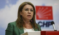 CHP'li Gülizar Biçer Karaca: 'Sayıları 3 milyonu aşan bekar anneler için özel politika gerekiyor'