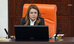 CHP'li Karaca, kız çocuklarının şüpheli ölümleriyle ilgili Meclis araştırması açılmasını istedi