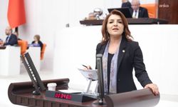 CHP'li Kış: 'Borçla ayakta duran bir ekonomi, eninde sonunda toplumun tamamını aşağı çeker'