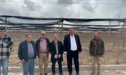 CHP'li Ömer Fethi Gürer, elma üreticilerinin sorunlarını dinledi... Üretici Acer: 'Maliyetler geçen seneye göre yüzde 40 yükseldi'