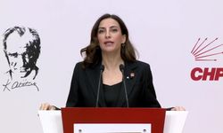 CHP'li Rızvanoğlu: '7 günde 227 bin futbol sahası büyüklüğünde toprak parça parça şirketlere devredildi'