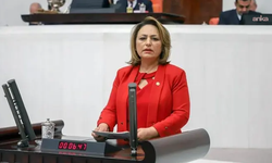 CHP'li Şevkin'den Adana-KKTC arası feribot seferi önerisi