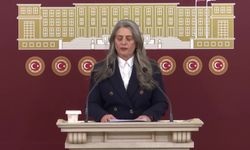 CHP'li Suiçmez: 'AYM 13 yılda 84 bin 519 hak ihlali kararı verdi'