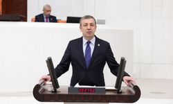 CHP'li Türeli'den 'kurusıkıdan dönüştürülen tabancalar' için soru önergesi