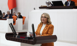 CHP'li Yanıkömeroğlu, dijital mecralardaki içerikler ve etkilerini Meclis gündemine taşıdı