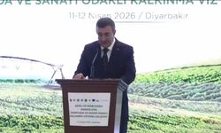 Cumhurbaşkanı Yardımcısı Yılmaz: Doğu ve Güneydoğu'da geçmişin ihmallerini telafi etmeye uğraşıyoruz