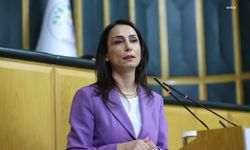 DEM Parti Eş Genel Başkanı Hatimoğulları: 'Değişmesi gereken otistikler değil, onları dışlayan bu düzendir'