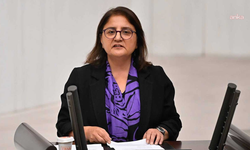 DEM Partili Kordu, Gülistan Doku için Meclis araştırması açılmasını istedi