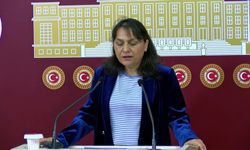 DEM Partili Özgül Saki: '24 Nisan 1915 yalnızca geçmişi anmak değil, bugünü değiştirmek için de kritik bir eşiktir'