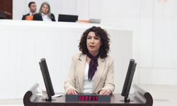 DEM Partili Türkoğlu'ndan doğum izni düzenlemesine tepki: İş yerlerinde ücretsiz kreşler açılmalı