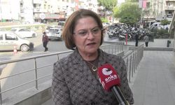 Didim'de bir köpeğin ölümüne neden olan 'elektrik akımı' kazası Büyükşehir Meclisinde gündeme geldi