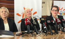 Disleksi Vakfı Van Şubesi, Doğu ve Güneydoğu'ya hizmet verecek