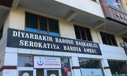 Diyarbakır Barosu'ndan Ermeni olayları açıklaması: Adalet ve hakikat için geçmişle yüzleşilmelidir