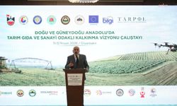 DTSO Başkanı Mehmet Kaya: 'Tarım, bölgenin en büyük ekonomik gücüdür'