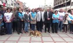 Edirne'de veliler ve eğitimcilerden okul saldırılarına tepki: Artık gerçeklerle yüzleşin, şiddet sistematik bir sorundur. Münferit diyerek gerçeği örtemezsiniz