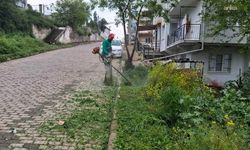 Efeler Belediyesi, ilçe genelinde kent estetiğini güçlendiriyor