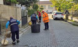 Efeler genelinde temizlik ve bakım çalışmaları devam ediyor