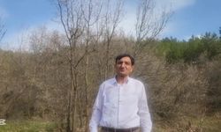 Elazığ'ın Gezin Beldesi Tren İstasyonu'ndaki yükleme rampası tepkilere neden oldu: 'Doğal sit alanı olan bölgede ağaç katliamı yapılmış'