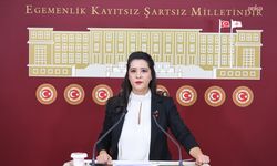EMEP'li Karaca, Defne Devlet Hastanesi'nin sel nedeniyle kullanılamaz hale gelmesini TBMM gündemine taşıdı