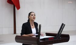 EMEP'li Karaca, üniversite öğrencisi İlayda Zorlu'nun ölümünü Bakan Çiftçi'ye sordu