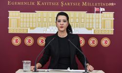 EMEP'li Karaca'dan Bakan Işıkhan'a: 'İş yerlerine yapılacak denetimlerin 15 gün önceden işverene haber verilmesinin gerekçesi nedir?'