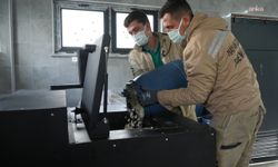 Eskişehir Büyükşehir Belediyesi, 'Mama Üretim Merkezi'ni hizmete açtı