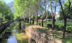 Geçim sıkıntısı çeken Adanalı vatandaş: 'Adam kebabını yiyor biz de kokluyoruz'